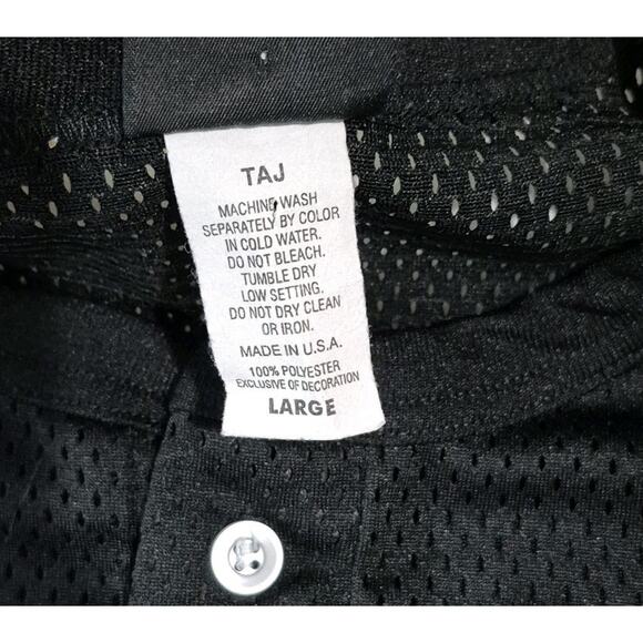 Wilson Washington Wild Things Jersey Large Black Baseball - Picture 3 of 9